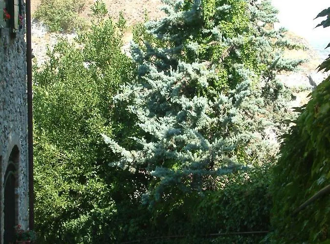 La Casa Della Peggiola - Le Antiche Verucchio